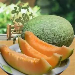 吃瓜请看微信,网络热词背后的文化现象