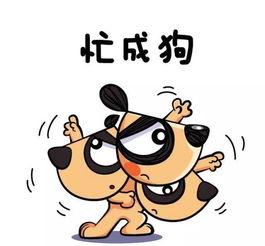 假装很忙吃瓜趣事,揭秘“假装很忙”背后的欢乐瞬间